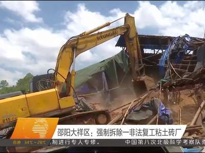 邵阳大祥区：强制拆除一非法复工粘土砖厂