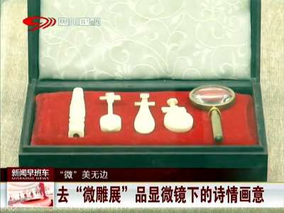 [视频]去“微雕展”品显微镜下的诗情画意