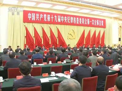 [视频]中国共产党第十九届中央纪律检查委员会第一次全体会议公报