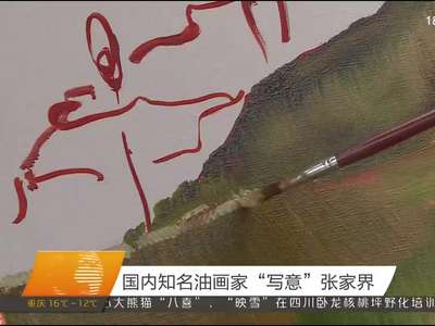 国内知名油画家“写意”张家界