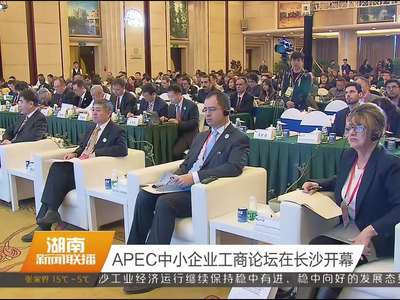 APEC中小企业工商论坛在长沙开幕