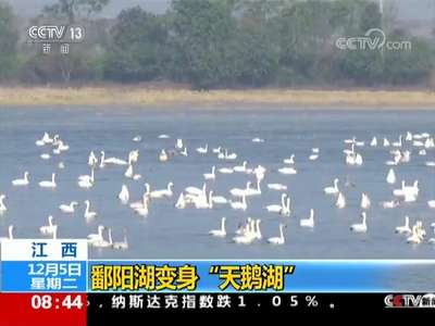 [视频]内蒙古 阿尔山雾凇美景如仙境