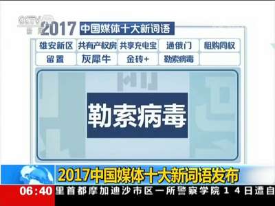 [视频]2017中国媒体十大新词语发布