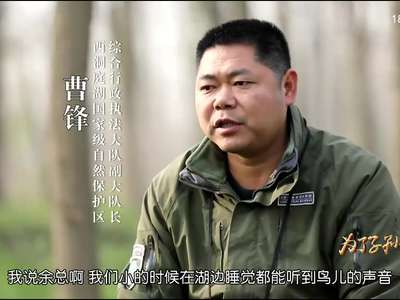 [为了子孙后代]曹锋：黑杨歼灭战