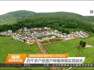 湖南省烟农烟叶收入50亿元 四千多户贫困户种植烤烟实现脱贫