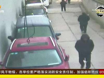 长沙岳麓警方18小时侦破奔驰劫案