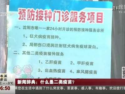[视频]新闻辞典：什么是二类疫苗