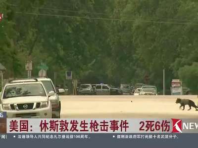 [视频]美国：休斯敦发生枪击事件 2死6伤