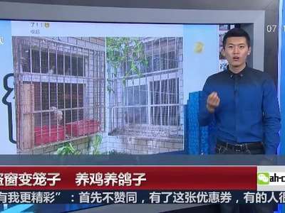 [视频]防盗窗变笼子 养鸡养鸽子