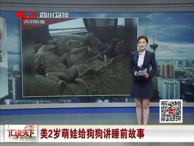 [视频]美2岁萌娃给狗狗讲睡前故事