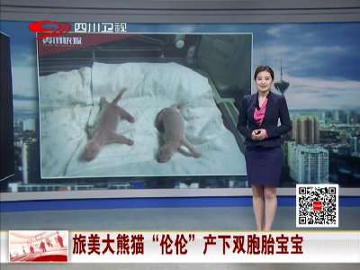 [视频]旅美大熊猫“伦伦”产下双胞胎宝宝