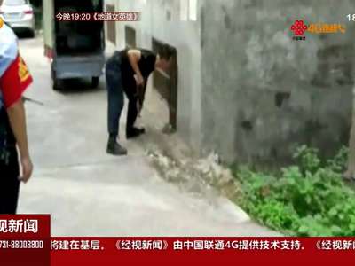 疯牛街上乱冲 五人受伤