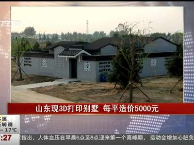 [视频]山东现3D打印别墅 每平造价5000元