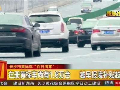 长沙市黄标车“百日清零”