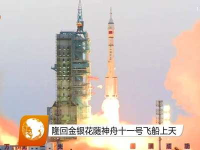 隆回金银花随神舟十一号飞船上天