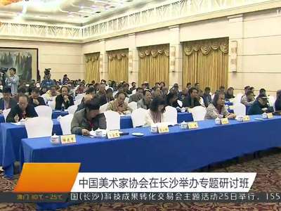 中国美术家协会在长沙举办专题研讨班