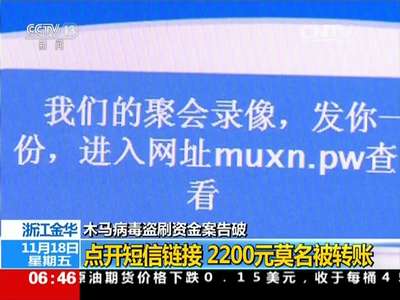 [视频]木马病毒盗刷资金案告破：点开短信链接 2200元莫名被转账