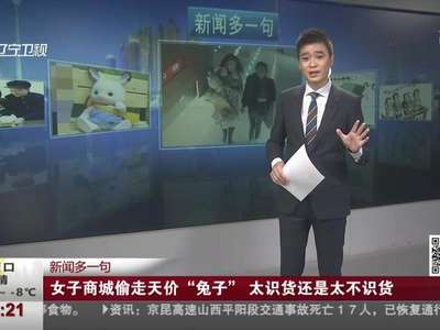 [视频]女子商城偷走天价“兔子” 太识货还是太不识货