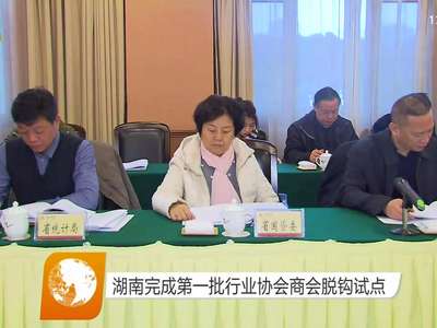 湖南完成第一批行业协会商会脱钩试点