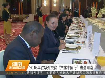 2016年驻华外交官“文化中国行”走进湖南