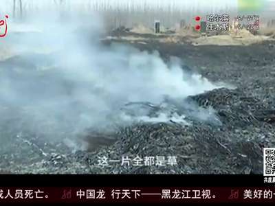 [视频]山东：上坟烧真车？