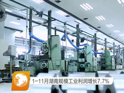 1-11月湖南规模工业利润增长7.7%