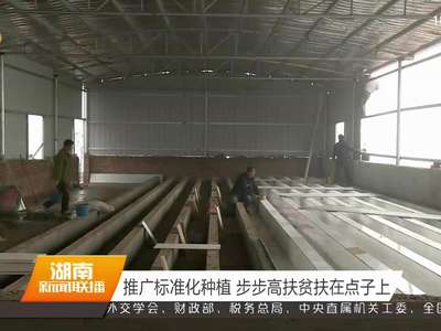 推广标准化种植 步步高扶贫扶在点子上