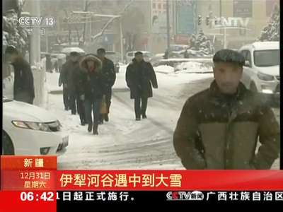 [视频]新疆 伊犁河谷遇中到大雪