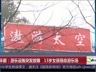 [视频]重庆丰都：游乐设施突发故障 13岁女孩殒命游乐场