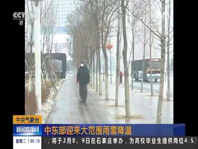 [视频]鸡年首个寒潮要来了 中东部降温8度
