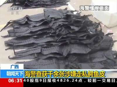 [视频]广西：海警查获千余张涉嫌走私鳄鱼皮