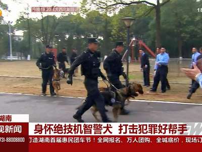 身怀绝技机智警犬 打击犯罪好帮手