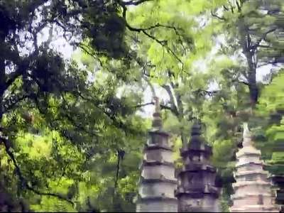 衡南岐山：遍野山花斗艳