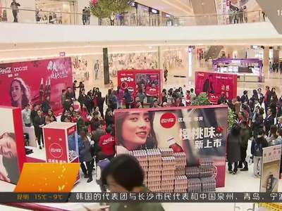 第二届中美（华中）商务峰会开幕 为两国企业合作牵线搭桥