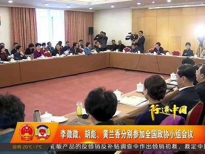 李微微、胡彪、黄兰香分别参加全国政协小组会议