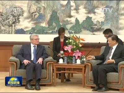 [视频]刘云山会见德国总统