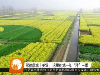 常德鼎城十美堂：这里的地一年“种”三季