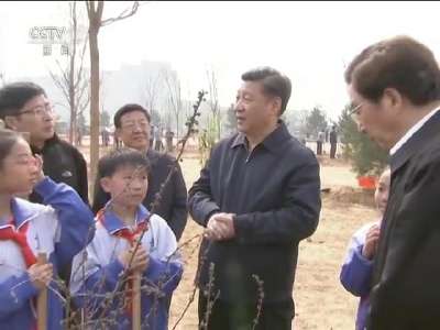 [视频]习近平参加首都义务植树活动