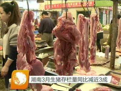湖南3月生猪存栏量同比减近3成