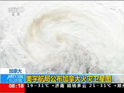 [视频]加拿大：美宇航局公布加拿大火灾卫星图