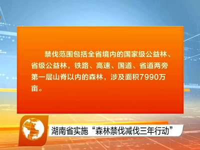 湖南省实施“森林禁伐减伐三年行动”