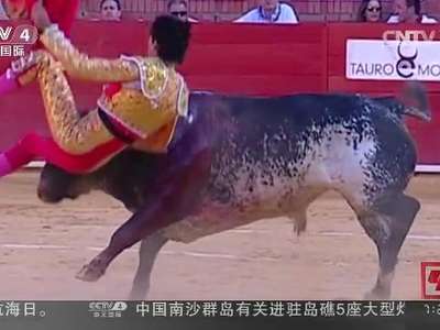 [视频]西班牙：斗牛士表演中身亡 斗牛再惹争议