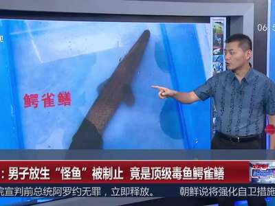 [视频]广东：男子放生“怪鱼”被制止 竟是顶级毒鱼鳄雀鳝