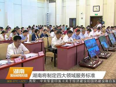 湖南将制定四大领域服务标准