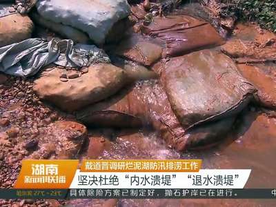 戴道晋调研烂泥湖防汛排涝工作 坚决杜绝“内水溃堤” “退水溃堤”