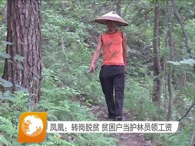 凤凰：转岗脱贫 贫困户当护林员领工资