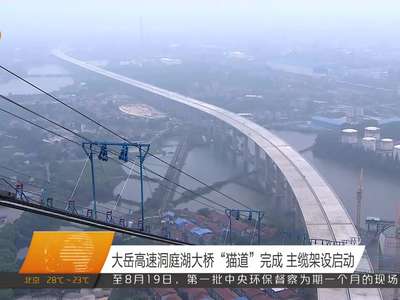 大岳高速洞庭湖大桥“猫道”完成 主缆架设启动