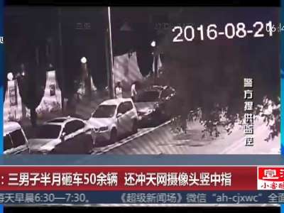 [视频]成都：三男子半月砸车50余辆 还冲天网摄像头竖中指