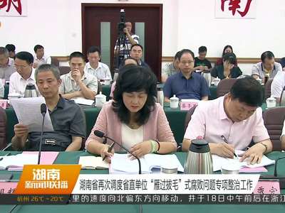 湖南省再次调度省直单位“雁过拔毛”式腐败问题专项整治