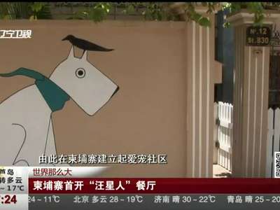 [视频]柬埔寨首开“汪星人”餐厅